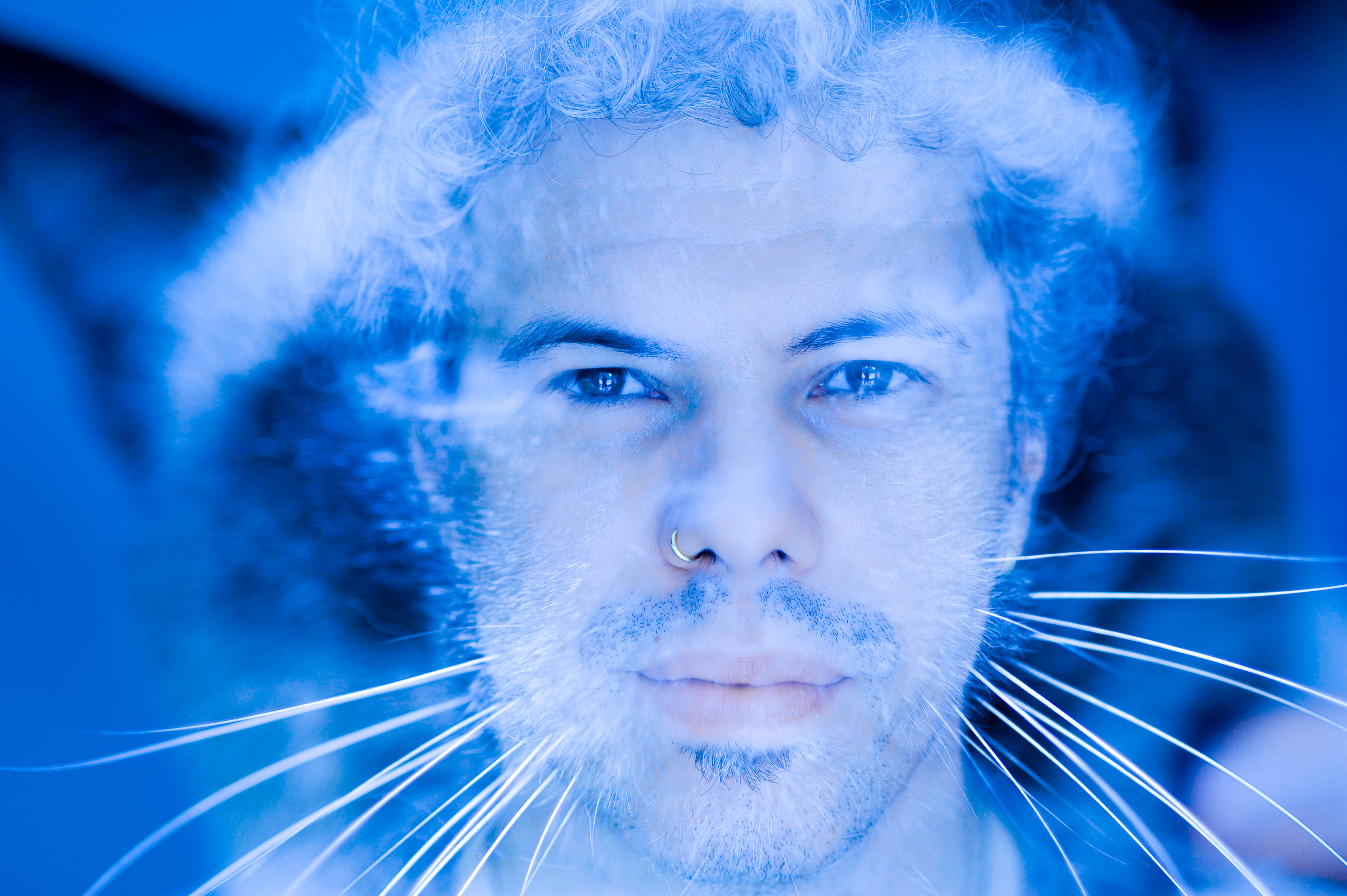 Bicho Músico 1 - Bruno Migliari