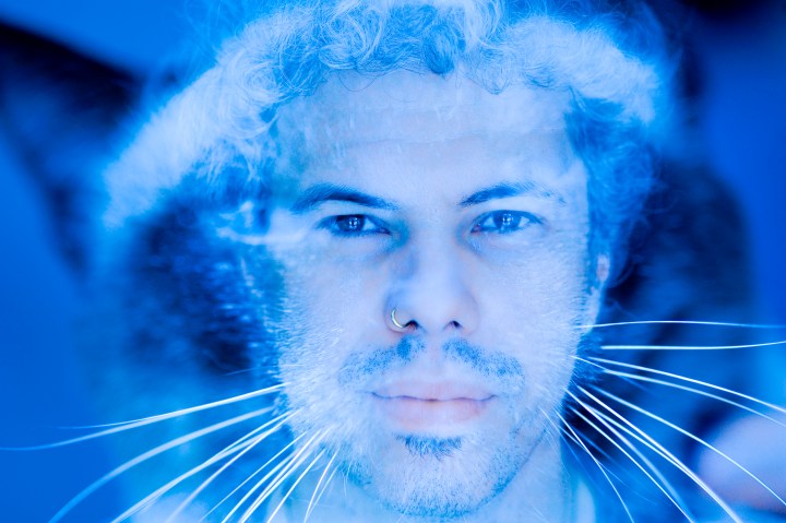 Bicho Músico 1 - Bruno Migliari